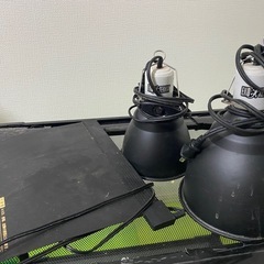 爬虫類ゲージの画像
