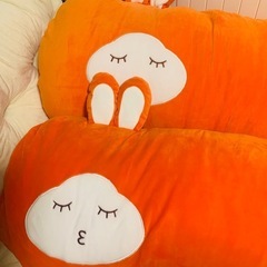 新品　抱き枕2個セットの画像
