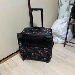 ペット用キャリーバッグの画像