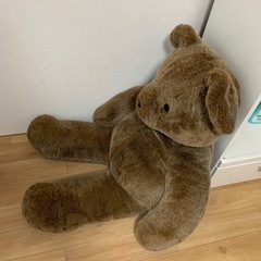 テディベア、です！の画像