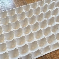 卵のトレーの画像