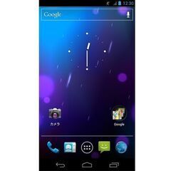docomo SC-04D GALAXY NEXUS 白ロムの画像