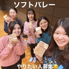 8/28 19:30~ソフトバレー