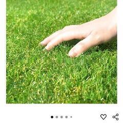 【新品】人工芝2m×10m(アイリスオーヤマ)の画像