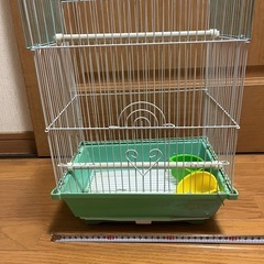 セキセイインコ　インコ　ゲージ　小屋　鳥かご　鳥籠　鳥の画像