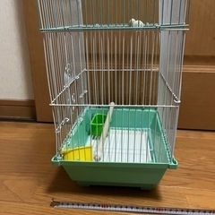 セキセイインコ　インコ　ゲージ　小屋　鳥かご　鳥籠　鳥の画像