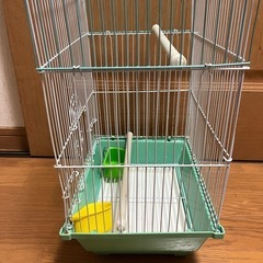 セキセイインコ　インコ　ゲージ　小屋　鳥かご　鳥籠　鳥の画像