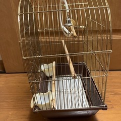セキセイインコ　インコ　ゲージ　小屋　鳥かご　鳥籠　鳥の画像