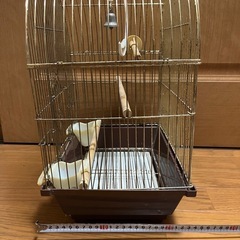 セキセイインコ　インコ　ゲージ　小屋　鳥かご　鳥籠　鳥の画像