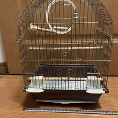 セキセイインコ　インコ　ゲージ　小屋　鳥かご　鳥籠　鳥の画像