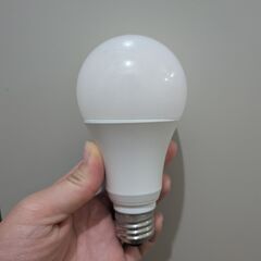 不揃い LED電球 44個の画像