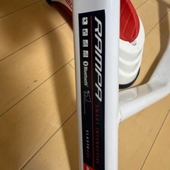 【交渉中】
elite  ランパの画像