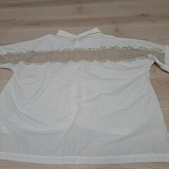 XL2枚セットの画像