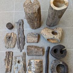 カブトムシ・クワガタムシ飼育用品の画像
