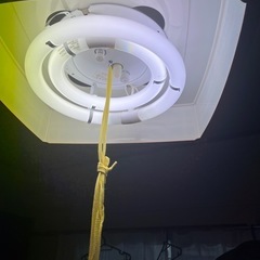 電気の画像