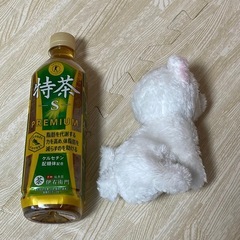 ねこ　ぬいぐるみ　人気の画像