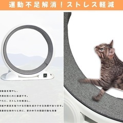 【【新品】Mud Bunny キャットホイール 白の画像