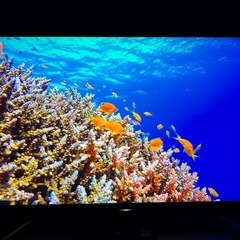 ソニー 4K 43インチ　KJ-43X8500F 2018年製の画像