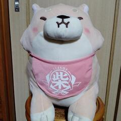 BIGサイズの忠犬もちしばの画像