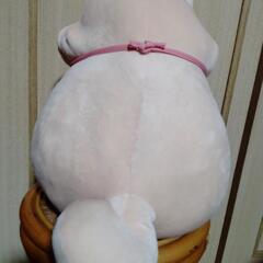 BIGサイズの忠犬もちしばの画像