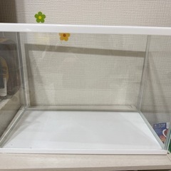 水槽の画像