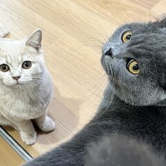 障がい者グループホーム　スタッフ募集の画像