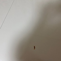 ダイニングテーブル2～4人の画像