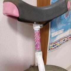 大幅値下げしました!１輪車ブリジストン18インチバンク無しの画像