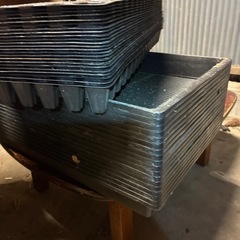 さし木用oasisセットの画像