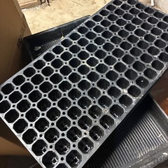 さし木用oasisセットの画像