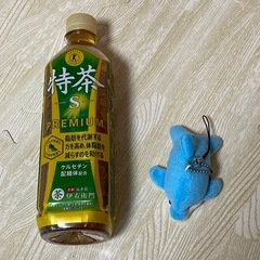 イルカ　ぬいぐるみ　マスコット　キーホルダー　人気の画像