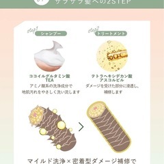 オルナオーガニック 4点セット
の画像