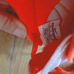 サッカーシューズ　トレーニングシューズ　25cmの画像