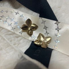 定価10000円ピアスの画像