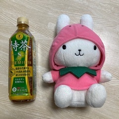 うさずきん ★ いちご コスチューム ぬいぐるみ　希少の画像