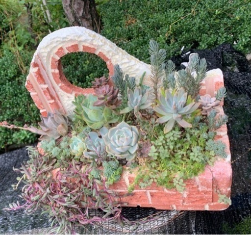 　多肉植物寄せ植えプランター
