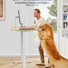 【値引き可能」】昇降デスクの画像