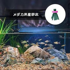 【新品】メダカ 産卵床 抗菌 カビ防止 孵化率UP 多色10個セット 浮遊式 再利用可能の画像
