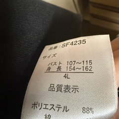 タグなし未使用  パーカーワンピース 4Lの画像