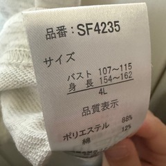 タグなし未使用 パーカーワンピース 4L②の画像
