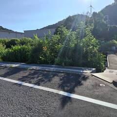 有田市山地の高台の土地