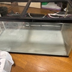水槽の画像