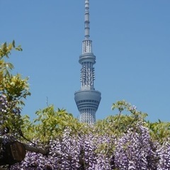 雑談＆お出かけオプチャ