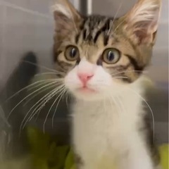 甘ったれ♡男の子♡生後3ヶ月