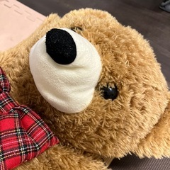 大きなクマ　ぬいぐるみの画像