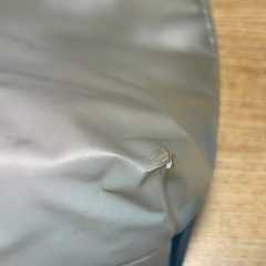 プールバック　水泳　プールの画像