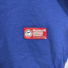 カレッジロゴTシャツ大学アメフトUS古着ヴィンテージアメカジレトロ刺繍の画像
