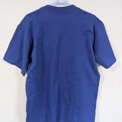 カレッジロゴTシャツ大学アメフトUS古着ヴィンテージアメカジレトロ刺繍の画像
