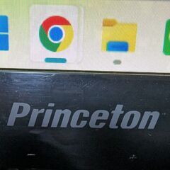 PCモニタ[Princeton PTFBIF-24W]の画像