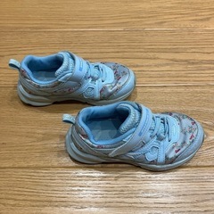 瞬足18.0cmの画像